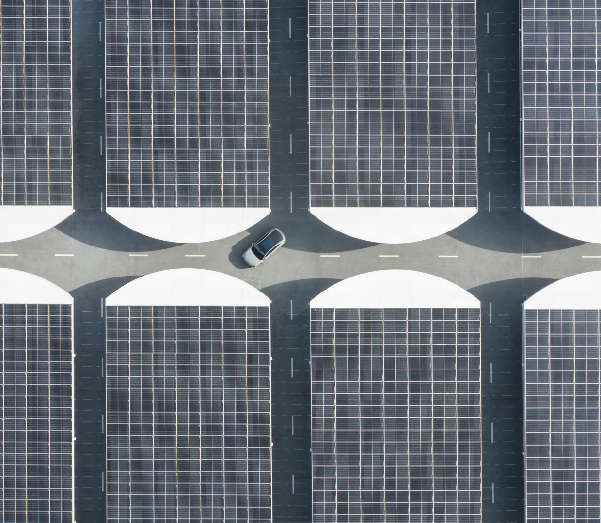 Highlights Highlights